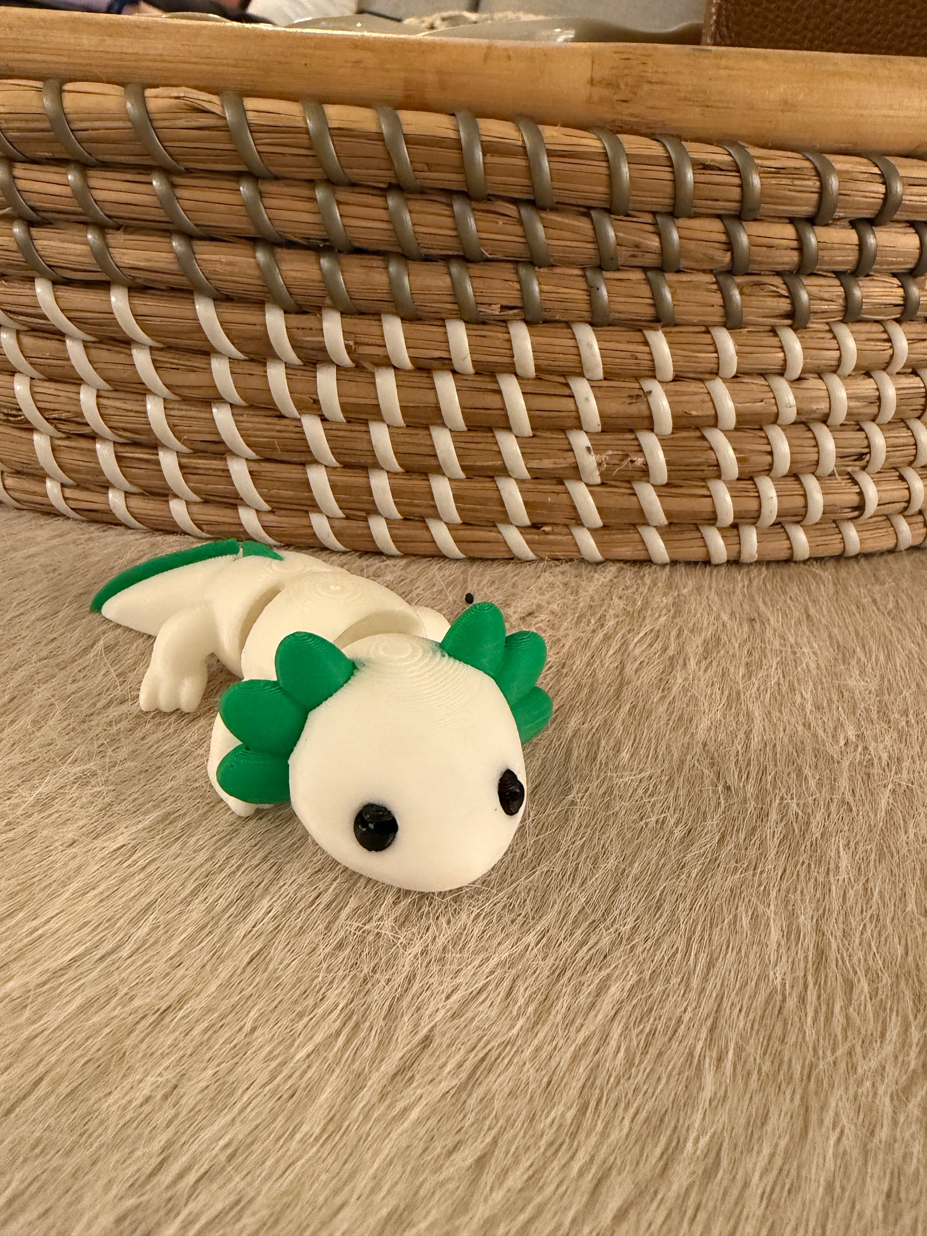 Axolotl