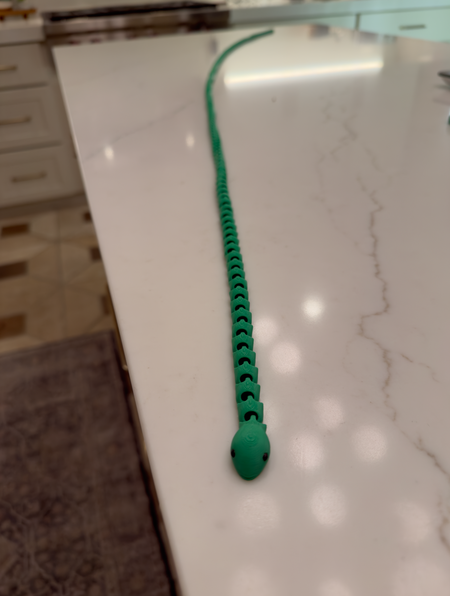 Long Snake